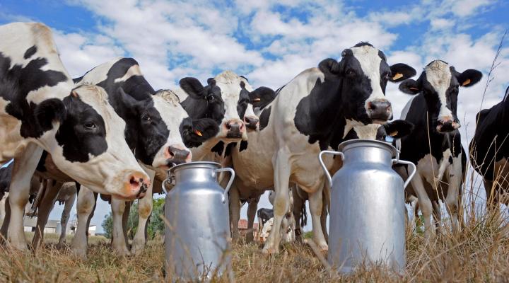 Asesoramiento personalizado