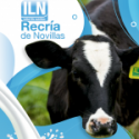 Recría de Novillas
